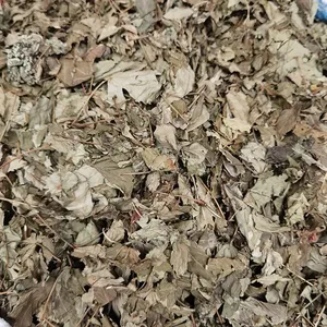 OEM/ODM 100% herbes naturelles thé de sage-femme thé de feuilles de framboise séchées thé de feuille de framboise - Product Image 5