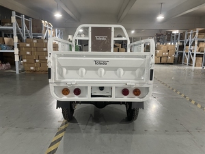 Triciclo Eléctrico de Carga Elion S11200W de 3 Ruedas con Techo, Nuevo Producto en Venta Caliente en China, Directo de Fábrica, con Certificación EEC - Product Image 3