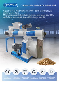 Ligne de production de granulés d'aliments aquatiques du Pérou pour l'usine d'aliments pour poissons et crevettes, capacité et taille de granulés personnalisées - Product Image 6