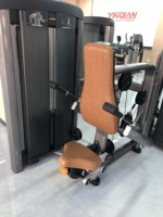 Machine de presse triceps à charge par poulie de qualité supérieure, conception ergonomique, fourniture directe usine, équipement de musculation des bras pour salle de sport commerciale