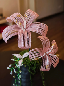 Belleza Resistente al Desierto: Orquídeas Perlas Eternas que No Necesitan Agua. - Product Image 2