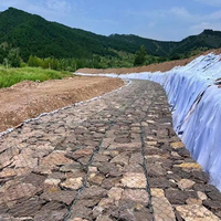 Paniers et cages en gabions en fil de fer galvanisé enduit de PVC, de haute qualité, en gros, avec conception hexagonale tressée, tailles 2x1x0.5m et 2x1x1m