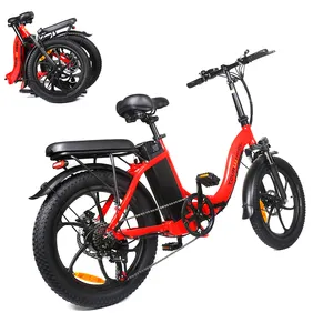 Oem 20 Inch 48V 350W Fat Tire Opvouwbare Pera Bicicleta Electrica Plegable Ebike/Opvouwbare Elektrische Fiets