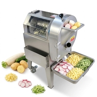Kleine automatische groente- en fruitblokjes snijmachine voor zoete aardappel, groene ui en chips.