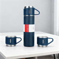 Ensemble cadeau de tasse thermique à double paroi en acier inoxydable personnalisée de 500 ml avec trois couvercles en acier inoxydable, boîte cadeau, bouteille d'eau