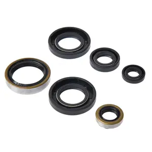 China Factory Wholesale Shaft Oil Seal 3 Lips NBR/FKM Rubber Seal With Spring With Corrugated Thread TG4 oil seal