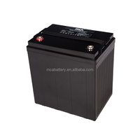 Batterie gel scellée sans entretien à décharge profonde 8V/12V 170Ah 1360Wh - Marque OEM, 1000 cycles pour fauteuils roulants électriques et onduleurs (UPS)