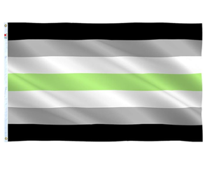 ธงหัวใจอาโรมาติกแบบไม่อาศัยเพศพร้อมธงความภาคภูมิใจ LGBT - Product Image 6