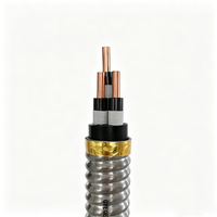 5kV QYEQEY Kupfer-Flachkabel ESP-Stromkabel mit Stahlbandarmierung IP65 Tauchfähiges Ölpumpenkabel für Onshore- und Offshore-Ölfelder