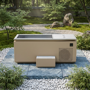 Baignoire froide commerciale avec refroidisseur intégré en acier inoxydable pour la récupération sportive et les spas - Product Image 1