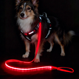 Collier lumineux LED rechargeable personnalisé pour chien, idéal pour les promenades nocturnes, <span class=keywords><strong>avec</strong></span> support de moule <span class=keywords><strong>privé</strong></span> – Fabrication OEM/ODM - Product Image 1