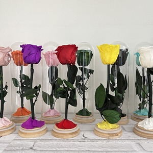 Flor preservada Cúpula <span class=keywords><strong>de</strong></span> <span class=keywords><strong>cristal</strong></span> Eternal Single Rose Forever Roses para regalo <span class=keywords><strong>de</strong></span> San Valentín - Product Image 2