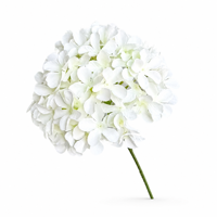 Tête de fleur d'hortensia artificielle en soie blanche, tige unique, fleur artificielle réaliste pour décoration de mariage, centre de table, ensemble de fête