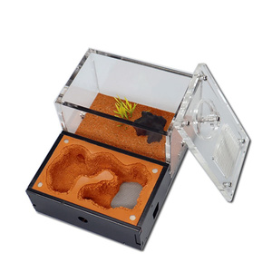 Granja de hormigas acrílicas DIY nido hormiguero Castillo caja de insectos para observar hábitat de hormigas vivas para niños y niñas - Product Image 3