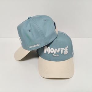 Thể thao Mũ bóng chày satin lót hai giai điệu da lộn Đồng bằng 100% bông trống Mũ bóng chày tùy chỉnh Snapback mèo - Product Image 6