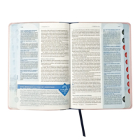 Bonne vente en gros – Impression personnalisée de Bibles – Édition chrétienne en cuir PU avec marquage à chaud – Version King James – Sainte Bible