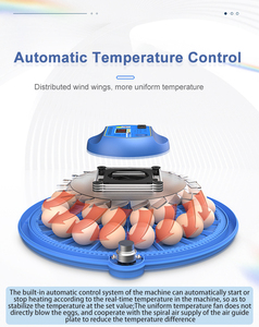 Nhà sử dụng năng lượng kép công suất 80 trứng tự động lồng ấp trứng máy - Product Image 3