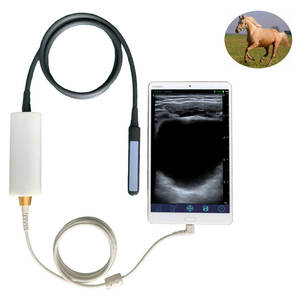 Aparelho de Ultrassom USB Retal para Teste de Prenhez em Equinos e Bovinos para Uso Veterinário - Product Image 1