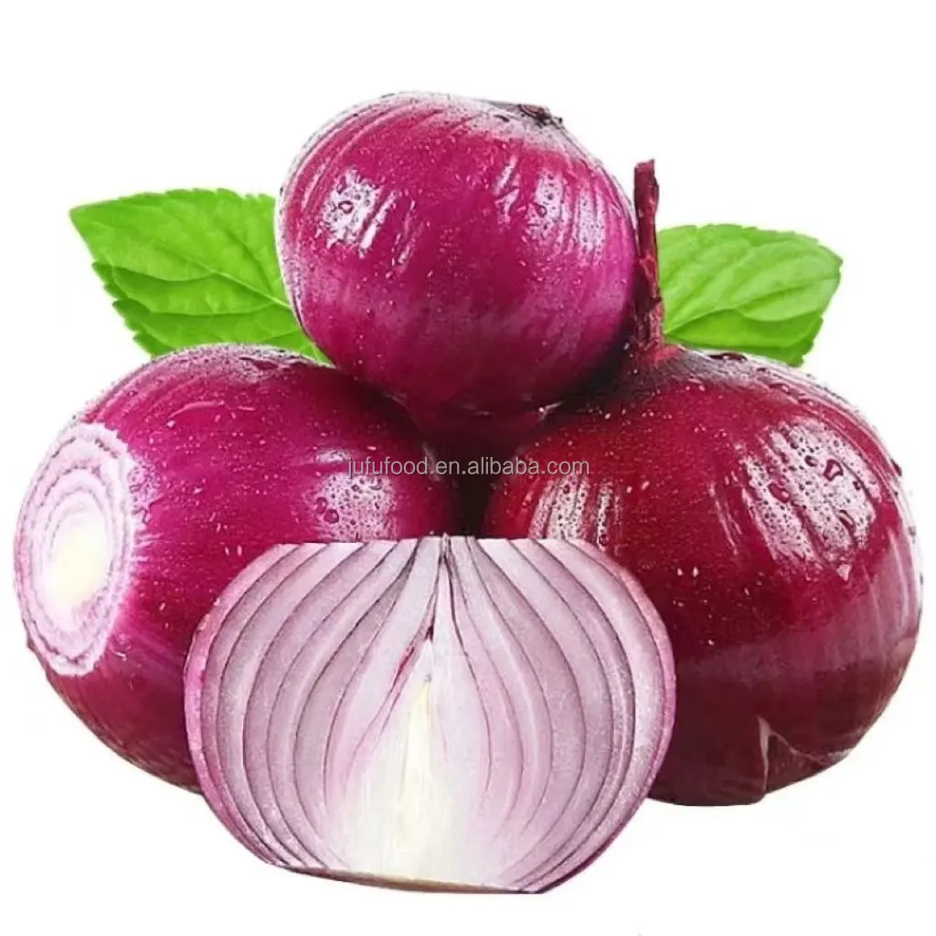 High Quality Big Round China Fresh Red Onion with good price for export Onion With Cheap Price For Sale organic fresh vegetable