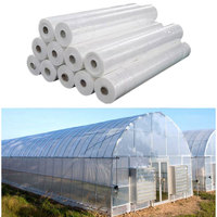 Film de serre de haute qualité pour tunnels agricoles, 200 microns, transparent, matériaux de couverture de serre