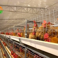 Cage manuelle en batterie de type H pour poules pondeuses Cages pour poules pondeuses 2000 couches élevage de volailles avec système de nettoyage à courroie