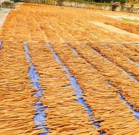 Premium Kaneelstokjes Ceylon Cassia Quills Gedroogde Kruidenbastbuizen Aromatische Kookkruiden Ambachtelijk Decor Gebruik