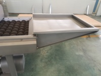 Sdleading Automatische Borsteltype Dadels Fruit Polijstmachine Wassen