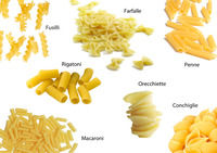 Machine à pâtes industrielle compacte en acier inoxydable 304 de qualité alimentaire, 40 kg/h, machine à macaroni autonome, moteur électrique pour pâtes fraîches