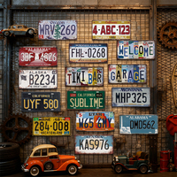 Venta caliente arte artesanal personalizado decoración Vintage decoración de pared Retro 15*30cm placa de matrícula de Metal
