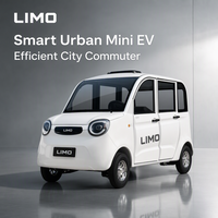 Nuevo Modelo de Vehículo Eléctrico Compacto para Desplazamientos Urbanos, Motor AC de 1000W, LIMO, Velocidad Máxima de 55 km/h, Precio al por Mayor, Vehículo Eléctrico Urbano