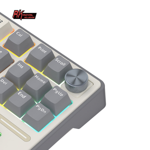 Clavier mécanique filaire RK R87Pro RK <span class=keywords><strong>ROYAL</strong></span> <span class=keywords><strong>KLUDGE</strong></span> 80% DIY Hotswap avec touches PBT Colorblock Teclado Mecanico - Product Image 5