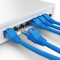 Cable de Conexión UTP Cat5 de Alta Velocidad EXC, 99% Cobre Puro, RJ45, 1M/50M/100M, Cat5e, Revestimiento de PVC, Cable de Red LAN