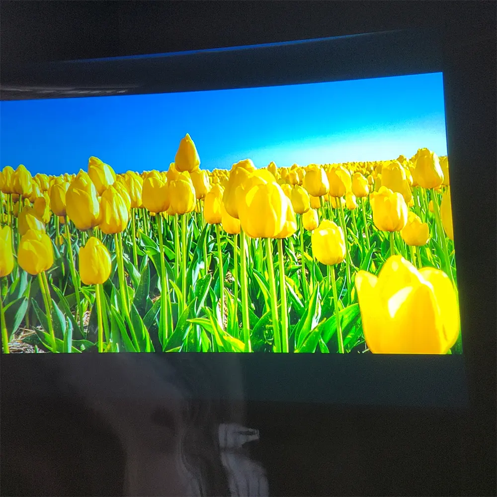 360 degree rear projection film With Promotional Price