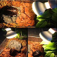 Vente en gros Fournitures pour reptiles Ampoule Uva Uvb Reptile Vapeur de mercure Ampoule Uvb Lumière Reptile