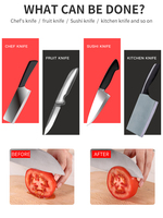 Aiguisoir professionnel petit aiguisoir ménager coréen mini aiguisoir en acier au tungstène couteau outil de cuisine