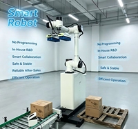 Robot Paletizador Automático de I+D Independiente, Robot de Manipulación Cooperativo Seguro y Estable para Talleres de Empaquetado en Fábricas