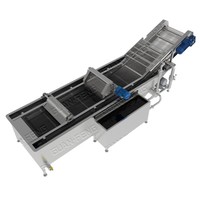 Bubble Type Gember Groenten Wasmachine Fruit En Groente Bubbel Reinigingsmachine Voor Voedselverwerking Lijn