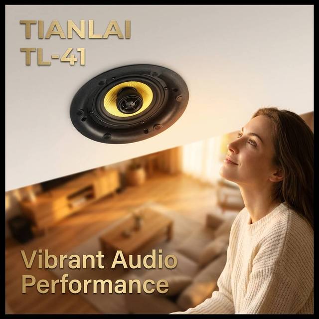 TIANLAI TL 41 Hi Fi Ceiling Speaker 8Ohm 25W in Ceiling Loudspeaker for Home Background Music Audio System