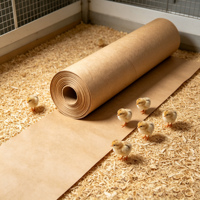 Rouleau de papier kraft pour couveuse, emballé sur palette, papier de revêtement de sol jetable pour l'élevage de poussins