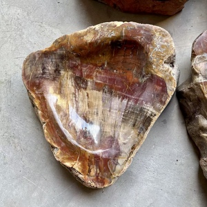 Bois pétrifié naturel poli fossile cristal tranche sous-verre spécimen minéral bol fossile en bois pour la décoration - Product Image 6