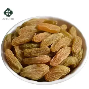 Wholesale Great quality dried fruits sultana natural Dry Green Raisins