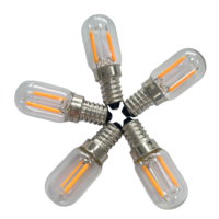 Ampoule LED E14 T22, 12V 2200K 1W, Convient aux lampes à bougies et aux veilleuses.