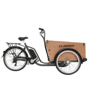 نمط جديد 3 عجلة دراجة كهربائية مساعدة البضائع مع الناقل الكبار e-trike