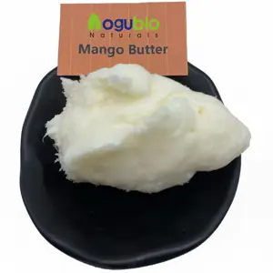 Aogubio Hot Selling Alledaagse Cosmetische Ingrediënten Ongeraffineerde Mangoboter