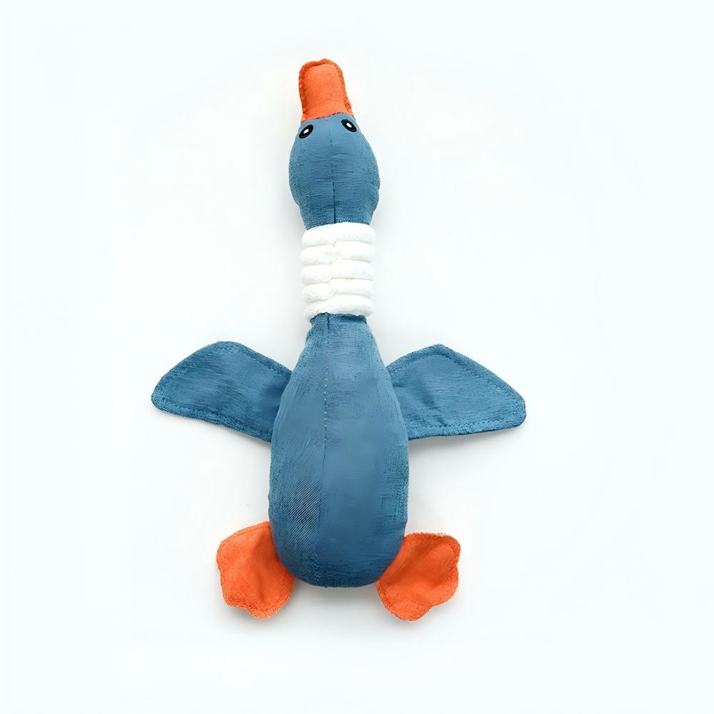 Oies bleues