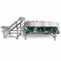 Machine de tri automatique des fruits et légumes pour la calibrage des produits agricoles, convoyeur et ligne de traitement sur mesure