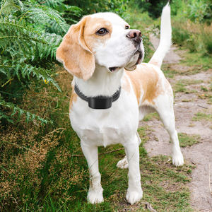 Collar de entrenamiento para mascotas DC680V, resistente al agua, vibrador, Control de ladridos para perros - Product Image 6