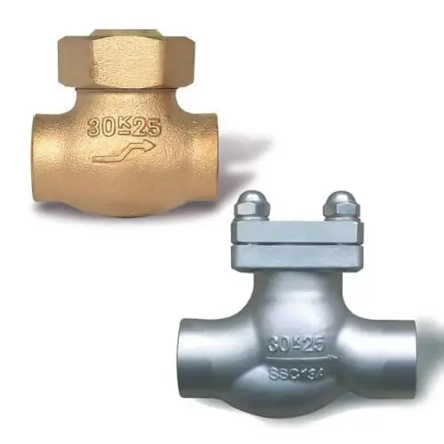 China Manufactures High Performance 300PSI Stainless Steel 304/316L Two-Way Swing Type Cryogenic Check Valve