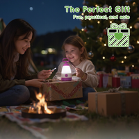 Les lanternes de camping complètent votre aventure en plein air avec des lampes de camping portables