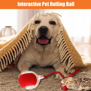 New Design 360° Smart Automatic <b>Interactive</b> Dog Smart Ball <b>Toy</b> <b>Interactive</b> <b>Cat</b> <b>Toys</b> Rolling Ball with USB Charger - Product Image 4